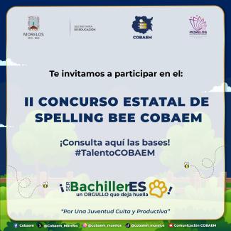 Photo of Cartagena's cathedral at the background and some colonial style houses